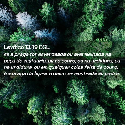 Picture 02 - Levítico 13:49 BSL - se a praga for esverdeada ou avermelhada na peça - Bible Verse Picture