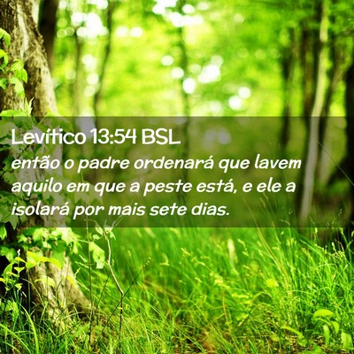 Picture 02 - Levítico 13:54 BSL - então o padre ordenará que lavem aquilo em que - Bible Verse Picture