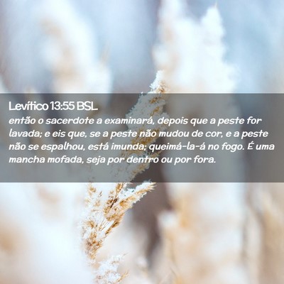 Picture 02 - Levítico 13:55 BSL - então o sacerdote a examinará, depois que a - Bible Verse Picture