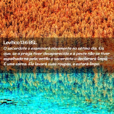 Picture 02 - Levítico 13:6 BSL - O sacerdote o examinará novamente no sétimo - Bible Verse Picture