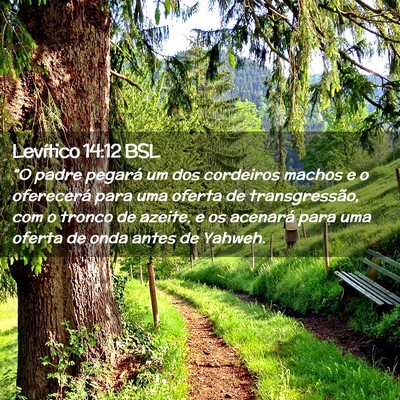 Picture 02 - Levítico 14:12 BSL - “O padre pegará um dos cordeiros machos e o - Bible Verse Picture
