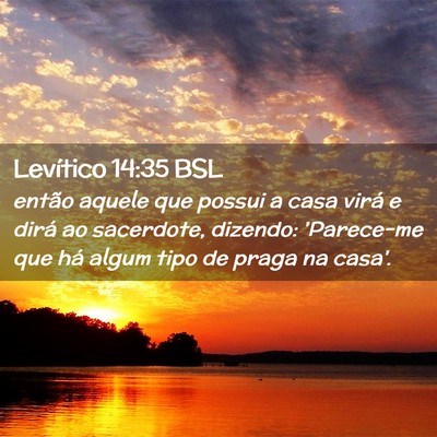 Picture 02 - Levítico 14:35 BSL - então aquele que possui a casa virá e dirá ao - Bible Verse Picture