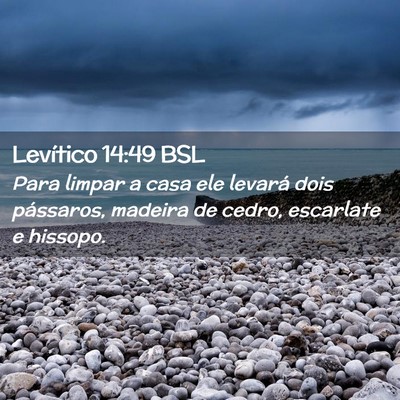 Picture 02 - Levítico 14:49 BSL - Para limpar a casa ele levará dois pássaros, - Bible Verse Picture