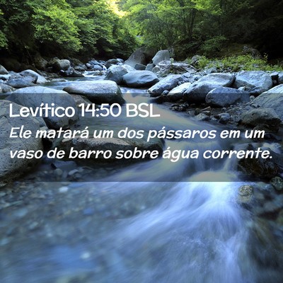 Picture 02 - Levítico 14:50 BSL - Ele matará um dos pássaros em um vaso de barro - Bible Verse Picture