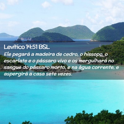 Picture 02 - Levítico 14:51 BSL - Ele pegará a madeira de cedro, o hissopo, o - Bible Verse Picture