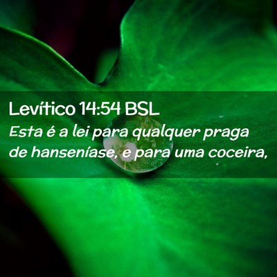 Picture 02 - Levítico 14:54 BSL - Esta é a lei para qualquer praga de hanseníase, - Bible Verse Picture