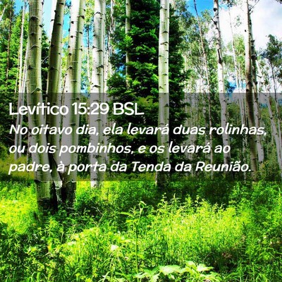 Picture 02 - Levítico 15:29 BSL - No oitavo dia, ela levará duas rolinhas, ou dois - Bible Verse Picture