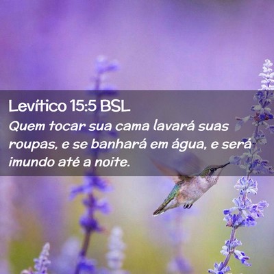 Picture 02 - Levítico 15:5 BSL - Quem tocar sua cama lavará suas roupas, e se - Bible Verse Picture