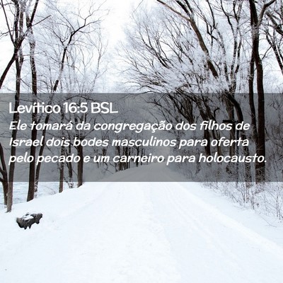 Picture 02 - Levítico 16:5 BSL - Ele tomará da congregação dos filhos de Israel - Bible Verse Picture