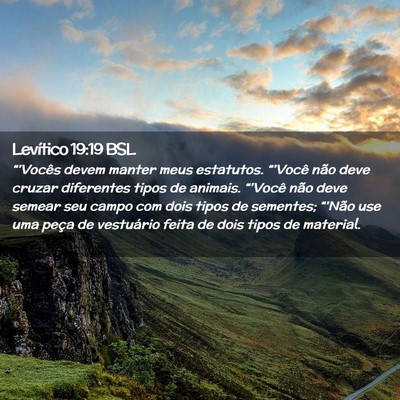 Picture 02 - Levítico 19:19 BSL - “'Vocês devem manter meus estatutos. “'Você - Bible Verse Picture