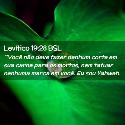 Picture 02 - Levítico 19:28 BSL - “'Você não deve fazer nenhum corte em sua - Bible Verse Picture