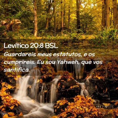 Picture 02 - Levítico 20:8 BSL - Guardareis meus estatutos, e os cumprireis. Eu - Bible Verse Picture