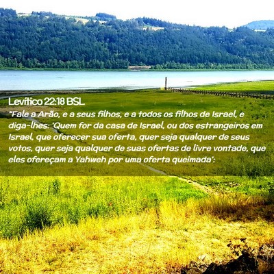 Picture 02 - Levítico 22:18 BSL - “Fale a Arão, e a seus filhos, e a todos os - Bible Verse Picture