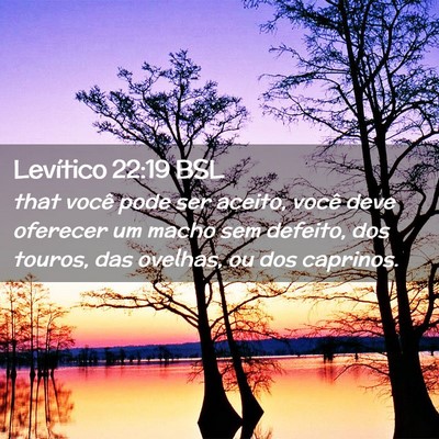 Picture 02 - Levítico 22:19 BSL - that você pode ser aceito, você deve oferecer - Bible Verse Picture