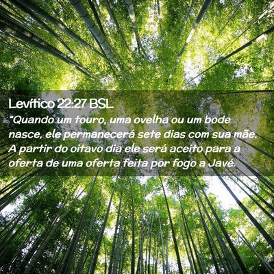 Picture 02 - Levítico 22:27 BSL - “Quando um touro, uma ovelha ou um bode nasce, - Bible Verse Picture