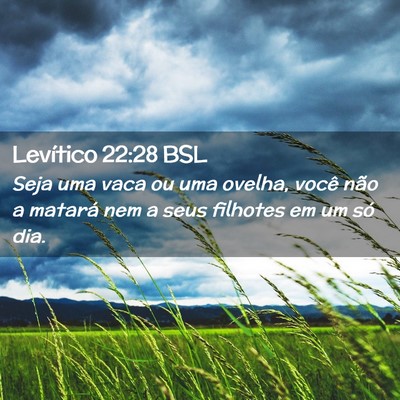 Picture 02 - Levítico 22:28 BSL - Seja uma vaca ou uma ovelha, você não a matará - Bible Verse Picture