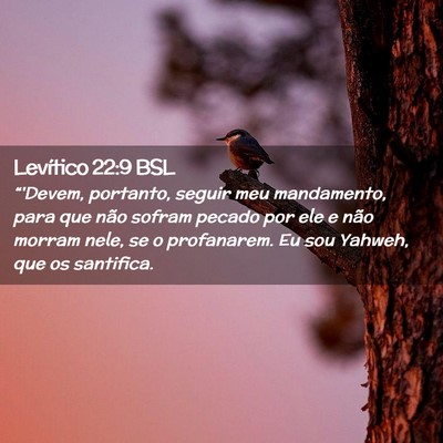 Picture 02 - Levítico 22:9 BSL - “'Devem, portanto, seguir meu mandamento, para - Bible Verse Picture