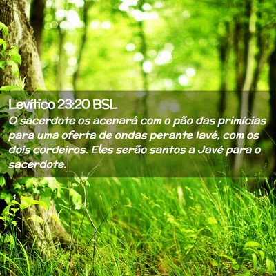 Picture 02 - Levítico 23:20 BSL - O sacerdote os acenará com o pão das primícias - Bible Verse Picture