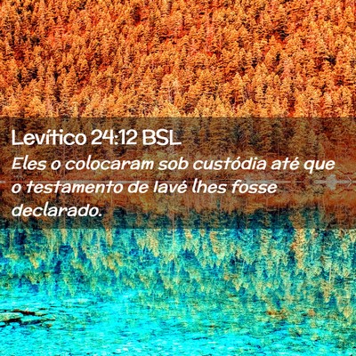 Picture 02 - Levítico 24:12 BSL - Eles o colocaram sob custódia até que o - Bible Verse Picture