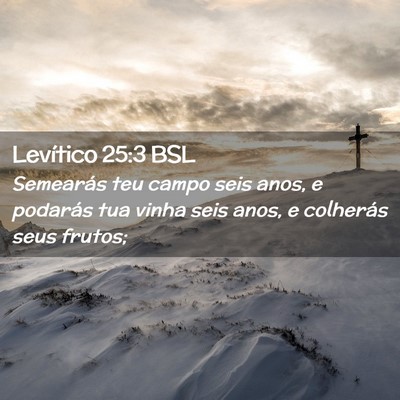 Picture 02 - Levítico 25:3 BSL - Semearás teu campo seis anos, e podarás tua - Bible Verse Picture