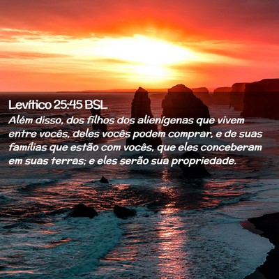 Picture 02 - Levítico 25:45 BSL - Além disso, dos filhos dos alienígenas que - Bible Verse Picture