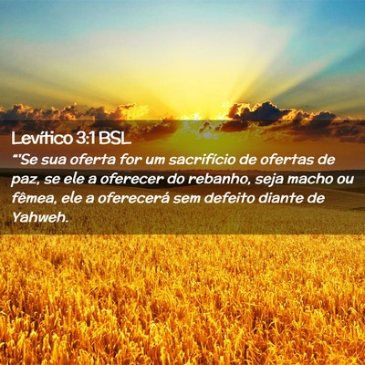 Picture 02 - Levítico 3:1 BSL - “'Se sua oferta for um sacrifício de ofertas - Bible Verse Picture
