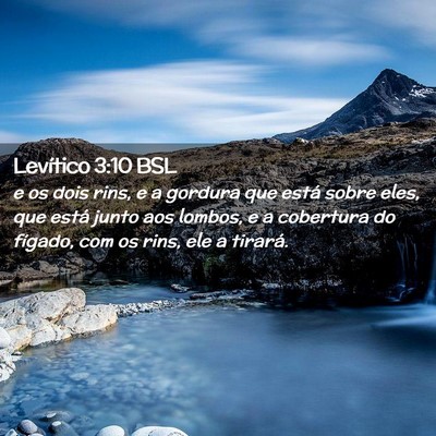 Picture 02 - Levítico 3:10 BSL - e os dois rins, e a gordura que está sobre eles, - Bible Verse Picture
