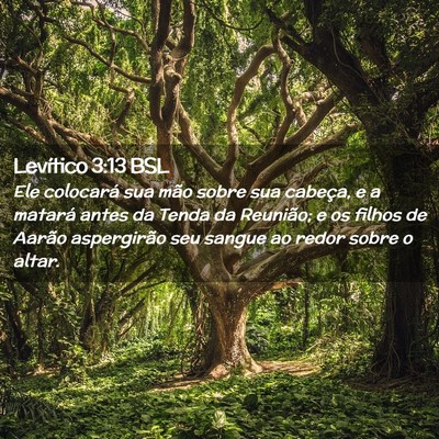Picture 02 - Levítico 3:13 BSL - Ele colocará sua mão sobre sua cabeça, e a - Bible Verse Picture