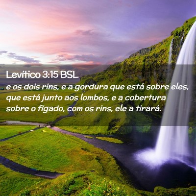 Picture 02 - Levítico 3:15 BSL - e os dois rins, e a gordura que está sobre eles, - Bible Verse Picture