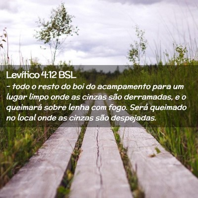 Picture 02 - Levítico 4:12 BSL - - todo o resto do boi do acampamento para um - Bible Verse Picture