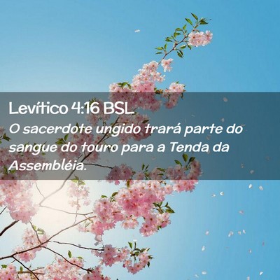 Picture 02 - Levítico 4:16 BSL - O sacerdote ungido trará parte do sangue do - Bible Verse Picture