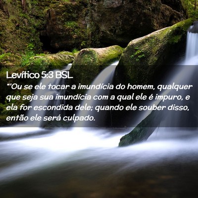 Picture 02 - Levítico 5:3 BSL - “'Ou se ele tocar a imundícia do homem, - Bible Verse Picture