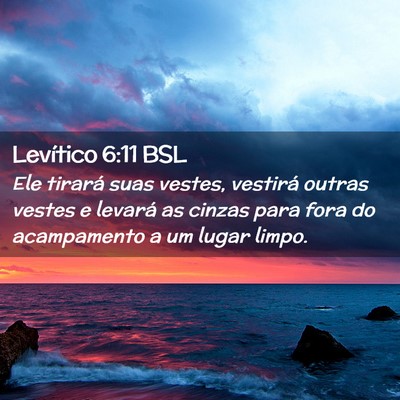 Picture 02 - Levítico 6:11 BSL - Ele tirará suas vestes, vestirá outras vestes e - Bible Verse Picture