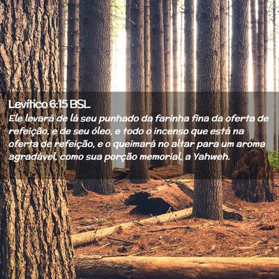 Picture 02 - Levítico 6:15 BSL - Ele levará de lá seu punhado da farinha fina da - Bible Verse Picture