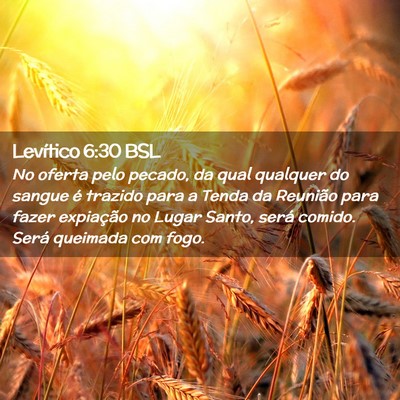 Picture 02 - Levítico 6:30 BSL - No oferta pelo pecado, da qual qualquer do sangue - Bible Verse Picture
