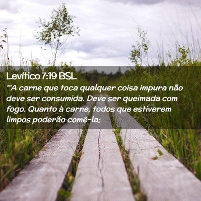 Picture 02 - Levítico 7:19 BSL - “'A carne que toca qualquer coisa impura não - Bible Verse Picture