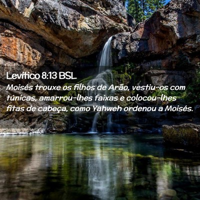 Picture 02 - Levítico 8:13 BSL - Moisés trouxe os filhos de Arão, vestiu-os com - Bible Verse Picture
