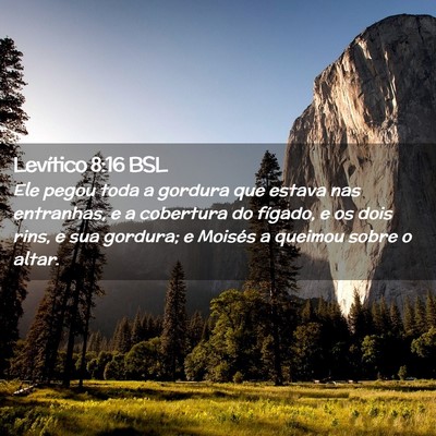 Picture 02 - Levítico 8:16 BSL - Ele pegou toda a gordura que estava nas - Bible Verse Picture