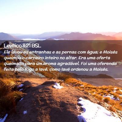 Picture 02 - Levítico 8:21 BSL - Ele lavou as entranhas e as pernas com água; e - Bible Verse Picture
