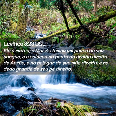 Picture 02 - Levítico 8:23 BSL - Ele o matou; e Moisés tomou um pouco de seu - Bible Verse Picture