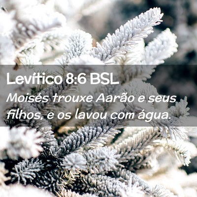 Picture 02 - Levítico 8:6 BSL - Moisés trouxe Aarão e seus filhos, e os lavou - Bible Verse Picture