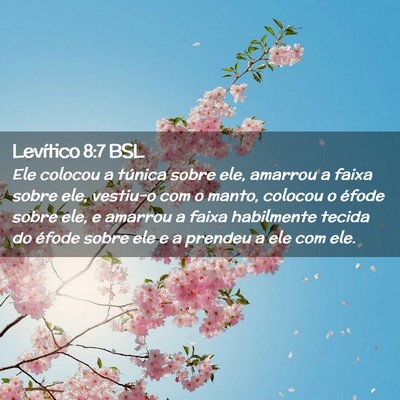 Picture 02 - Levítico 8:7 BSL - Ele colocou a túnica sobre ele, amarrou a faixa - Bible Verse Picture