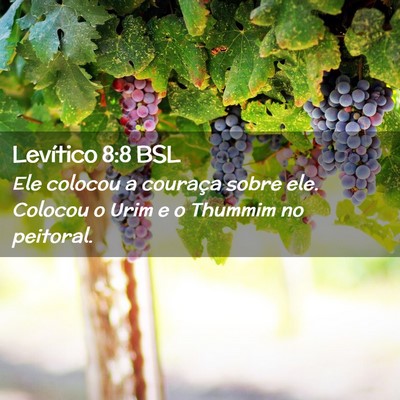 Picture 02 - Levítico 8:8 BSL - Ele colocou a couraça sobre ele. Colocou o Urim - Bible Verse Picture