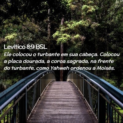 Picture 02 - Levítico 8:9 BSL - Ele colocou o turbante em sua cabeça. Colocou a - Bible Verse Picture