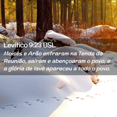 Picture 02 - Levítico 9:23 BSL - Moisés e Arão entraram na Tenda da Reunião, - Bible Verse Picture