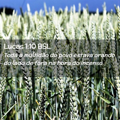 Picture 02 - Lucas 1:10 BSL - Toda a multidão do povo estava orando do lado de - Bible Verse Picture