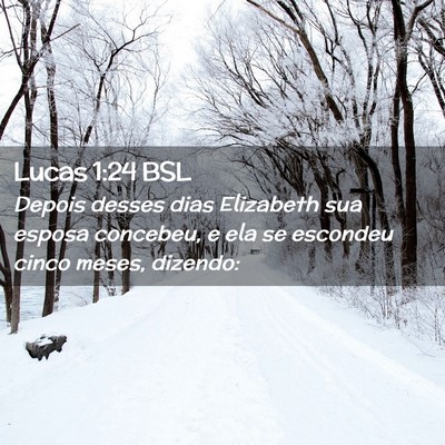 Picture 02 - Lucas 1:24 BSL - Depois desses dias Elizabeth sua esposa concebeu, - Bible Verse Picture