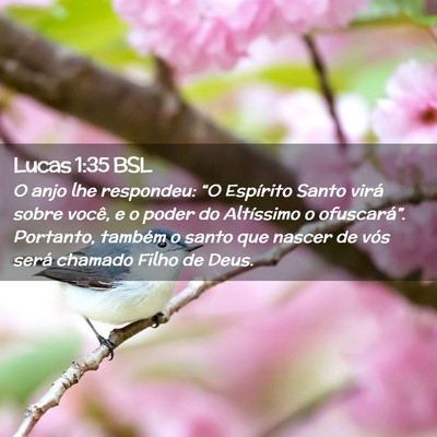 Picture 02 - Lucas 1:35 BSL - O anjo lhe respondeu: “O Espírito Santo virá - Bible Verse Picture