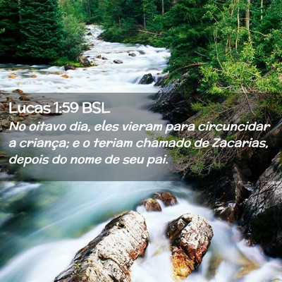 Picture 02 - Lucas 1:59 BSL - No oitavo dia, eles vieram para circuncidar a - Bible Verse Picture