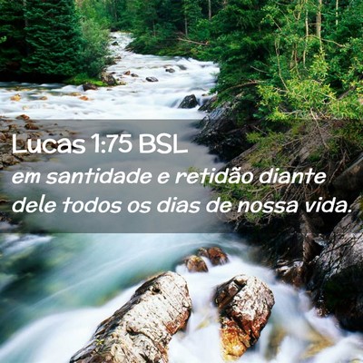 Picture 02 - Lucas 1:75 BSL - em santidade e retidão diante dele todos os dias - Bible Verse Picture
